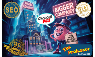 Why Choose a Small Private On-Page SEO Website Editor Over a Bigger Company