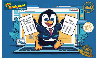 Dealing with Duplicate Content Solutions and Best Practices