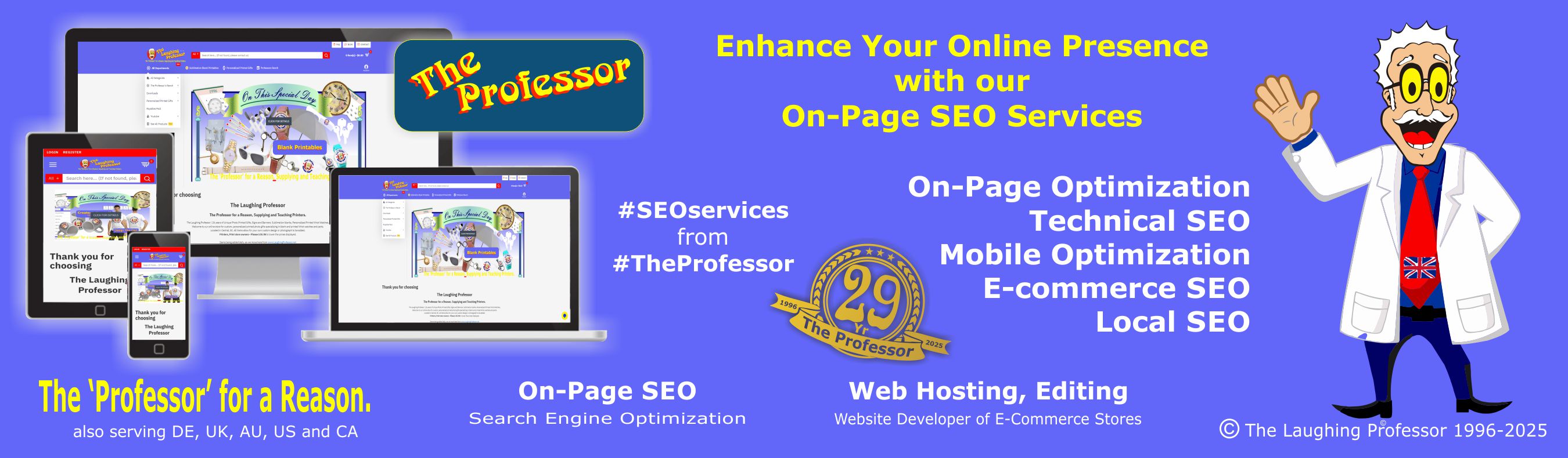 The Professor, Domain and Hosting Provider