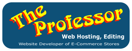 The Professor Domain web Hosting Provider on page seo services