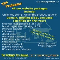 Custom e-commerce built store, Package I