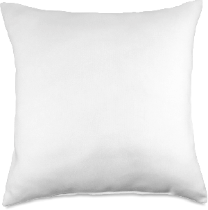 cushion